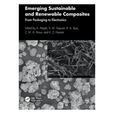 "Emerging Sustainable and Renewable Composites: From Packaging to Electronics" - "" ("Atiqah A."