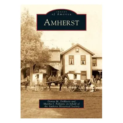 "Amherst" - "" ("Deblasio Donna M.")