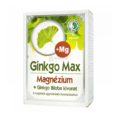 Dr. Chen Ginkgo Max magnéziummal kapszula 60 db