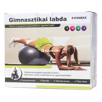 Vivamax gimnasztikai labda 55 cm