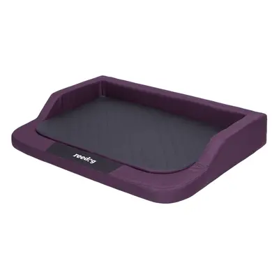 Kutyafekhely Reedog Purple Standard