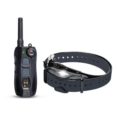 Reedog DT-4200 kiképző nyakörv