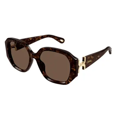 Chloe CH0236S 002 ONE SIZE (56) Havana Férfi Napszemüvegek