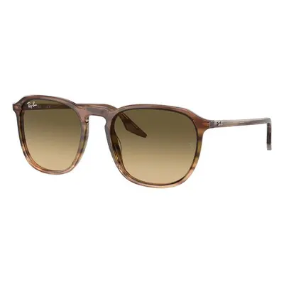 Ray-Ban RB2203 13920A M (52) Barna Unisex Napszemüvegek