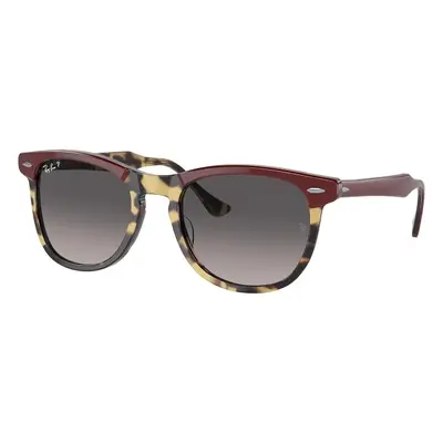 Ray-Ban Eagleeye RB2398 1377M3 M (53) Havana Unisex Napszemüvegek