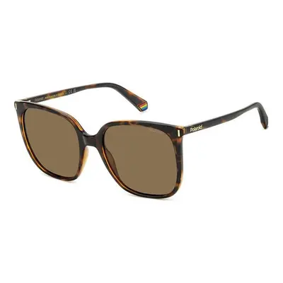 Polaroid PLD6218/S 086/SP Polarized ONE SIZE (56) Havana Férfi Napszemüvegek