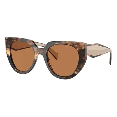 Prada PR14WS 01R2Z1 ONE SIZE (52) Havana Férfi Napszemüvegek