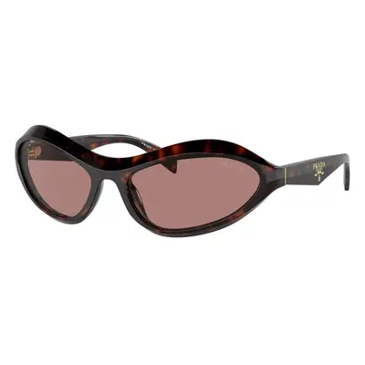 Prada PRA20S 17N10D ONE SIZE (61) Havana Férfi Napszemüvegek