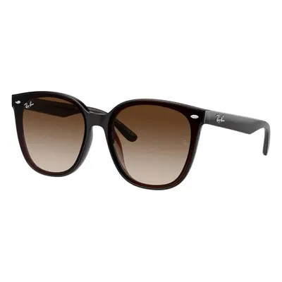 Ray-Ban RB4423D 714/13 ONE SIZE (66) Barna Unisex Napszemüvegek