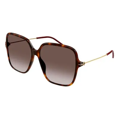 Gucci GG1267S 002 ONE SIZE (60) Havana Férfi Napszemüvegek