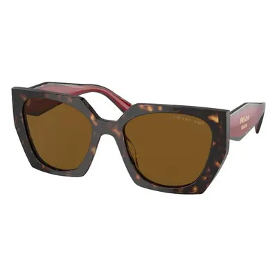 Prada PR15WS 2AU5Y1 Polarized ONE SIZE (54) Havana Férfi Napszemüvegek