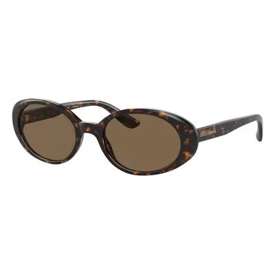 Dolce & Gabbana DG4443 502/73 ONE SIZE (52) Havana Férfi Napszemüvegek