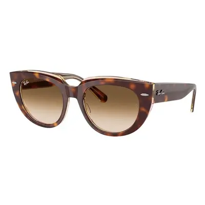 Ray-Ban RB2286 141451 L (52) Havana Férfi Napszemüvegek