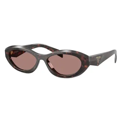 Prada PR26ZS 17N60B ONE SIZE (55) Havana Férfi Napszemüvegek