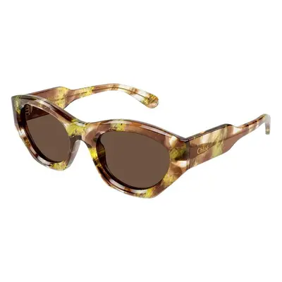 Chloe CH0220S 010 ONE SIZE (53) Havana Férfi Napszemüvegek