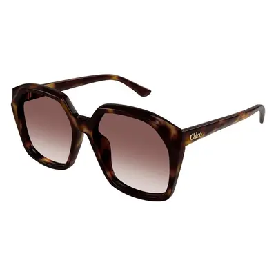 Chloe CH0280S 006 ONE SIZE (57) Havana Férfi Napszemüvegek