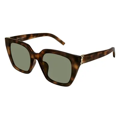 Saint Laurent SLM143 003 ONE SIZE (51) Havana Férfi Napszemüvegek