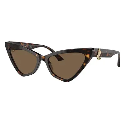 Jimmy Choo JC5008 500273 ONE SIZE (55) Havana Férfi Napszemüvegek