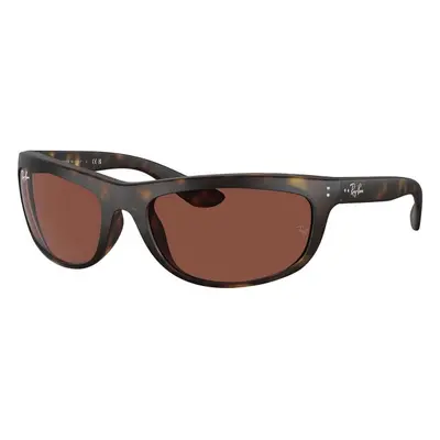 Ray-Ban Balorama RB4089 894/C5 ONE SIZE (62) Havana Női Napszemüvegek