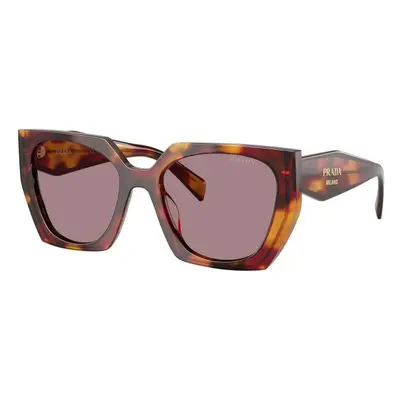 Prada PR15WS 22A20I ONE SIZE (54) Havana Férfi Napszemüvegek