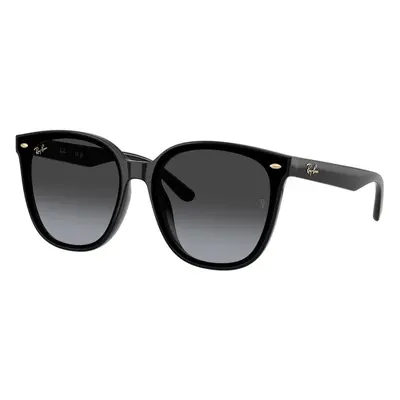 Ray-Ban RB4423D 68078G ONE SIZE (66) Fekete Unisex Napszemüvegek