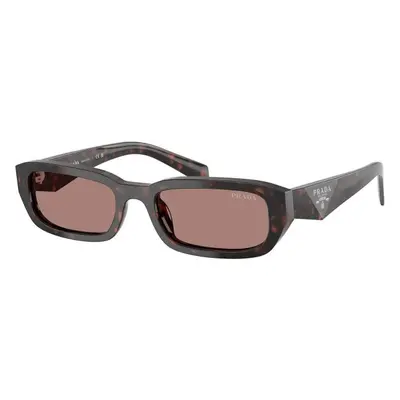 Prada PRB06S 17N60B ONE SIZE (53) Havana Férfi Napszemüvegek