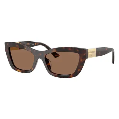 Jimmy Choo JC5030U 500273 ONE SIZE (54) Havana Férfi Napszemüvegek