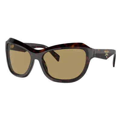 Prada PRA27S 17N70G ONE SIZE (62) Havana Férfi Napszemüvegek