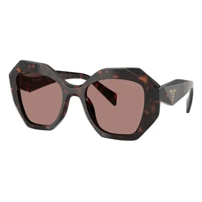 Prada PR16WS 17N60B ONE SIZE (53) Havana Férfi Napszemüvegek