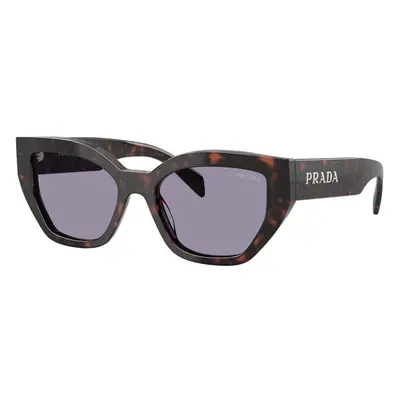 Prada PRA09S 17N03N ONE SIZE (53) Havana Férfi Napszemüvegek