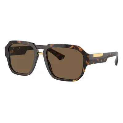 Dolce & Gabbana DG4464 502/73 ONE SIZE (56) Havana Női Napszemüvegek