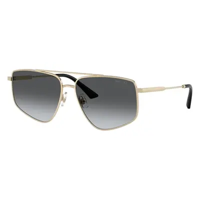 Jimmy Choo JC4011 3006T3 Polarized ONE SIZE (58) Arany Férfi Napszemüvegek