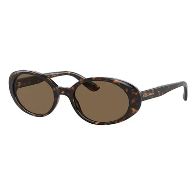 Dolce & Gabbana DG4443 502/73 ONE SIZE (52) Havana Férfi Napszemüvegek