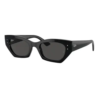 Ray-Ban RB4430 667787 M (49) Fekete Unisex Napszemüvegek