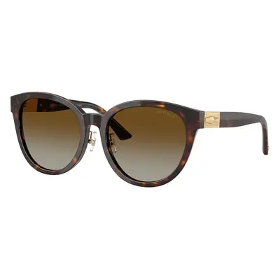 Jimmy Choo JC5032D 5002T5 Polarized ONE SIZE (55) Havana Férfi Napszemüvegek