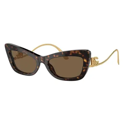 Dolce & Gabbana DG4467B 502/73 ONE SIZE (55) Havana Férfi Napszemüvegek