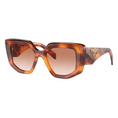 Prada PR14ZS 18R70E ONE SIZE (50) Havana Férfi Napszemüvegek