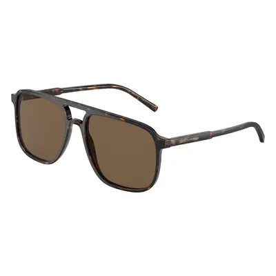 Dolce & Gabbana DG4423 502/73 ONE SIZE (58) Havana Női Napszemüvegek