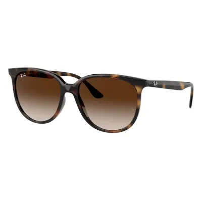 Ray-Ban RB4378 710/13 ONE SIZE (54) Havana Férfi Napszemüvegek