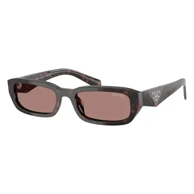 Prada PRB06S 17N60B ONE SIZE (53) Havana Férfi Napszemüvegek