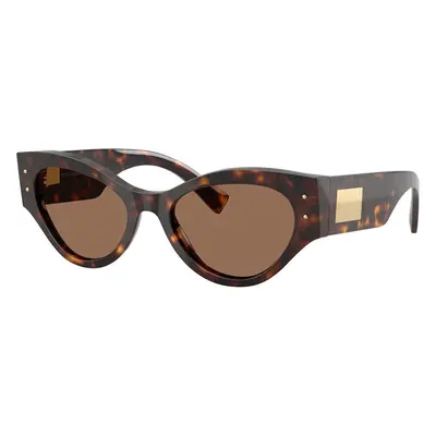 Dolce & Gabbana DG4480 502/73 ONE SIZE (53) Havana Férfi Napszemüvegek