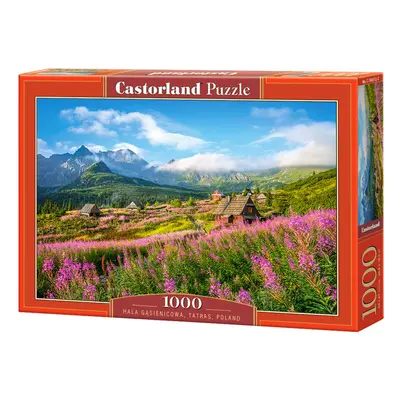 1000 darabos puzzle Hala Gąsienicowa, Tátra, Lengyelország