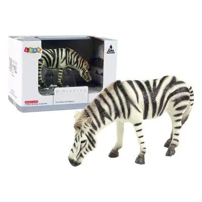 Zebra figura