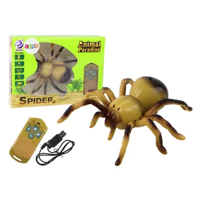 Távirányító Spider Tarantula R/C vezérlővel, sárga