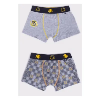 Yoclub Kids's 2Pack Boy's Boxer Briefs BMB-0017C-AA30