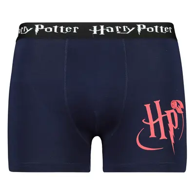 Men's boxer Harry Potter - Frogies