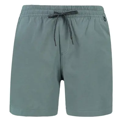 Men's shorts Quiksilver TAXER HEATHER AMPHIBIAN