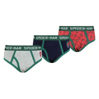 Boys briefs Spiderman 3P Frogies