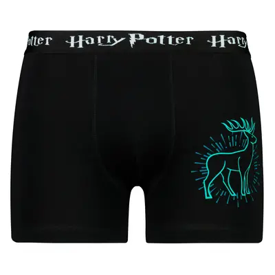 Men's boxer Harry Potter - Frogies