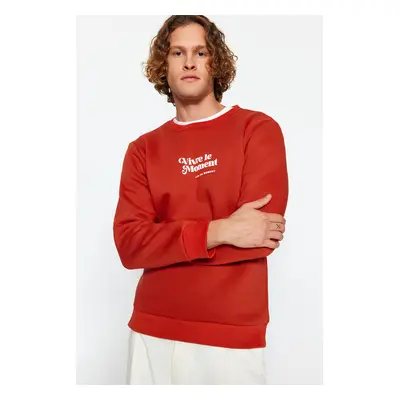 Trendyol Tile Men Men's Regular / Regular fit Crew Neck Long Sleeved Fluffy Text Printed Sweatsh